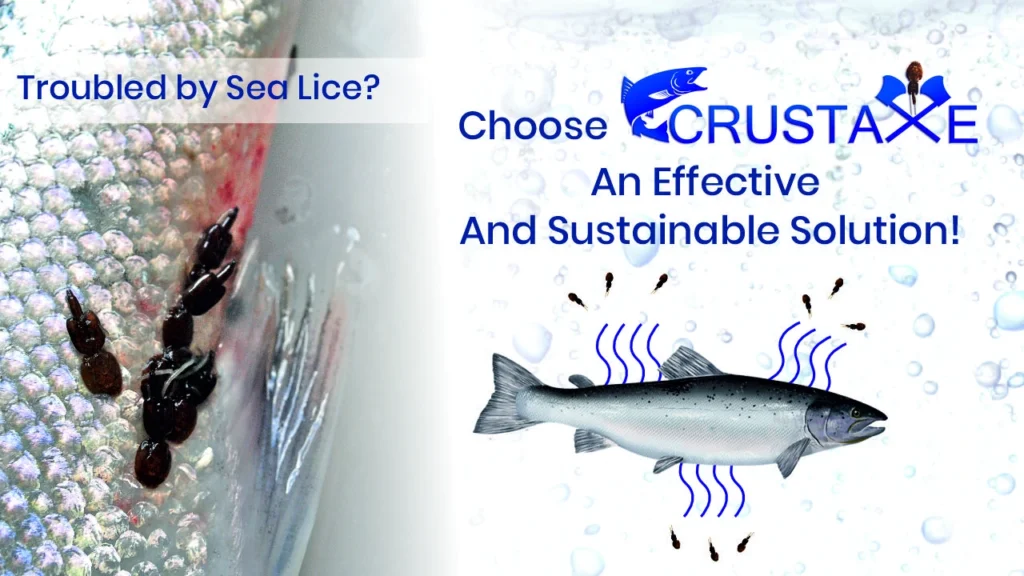 Troubled by Sea Lice? Choose CRUSTAXE – An Effective and Sustainable Solution!