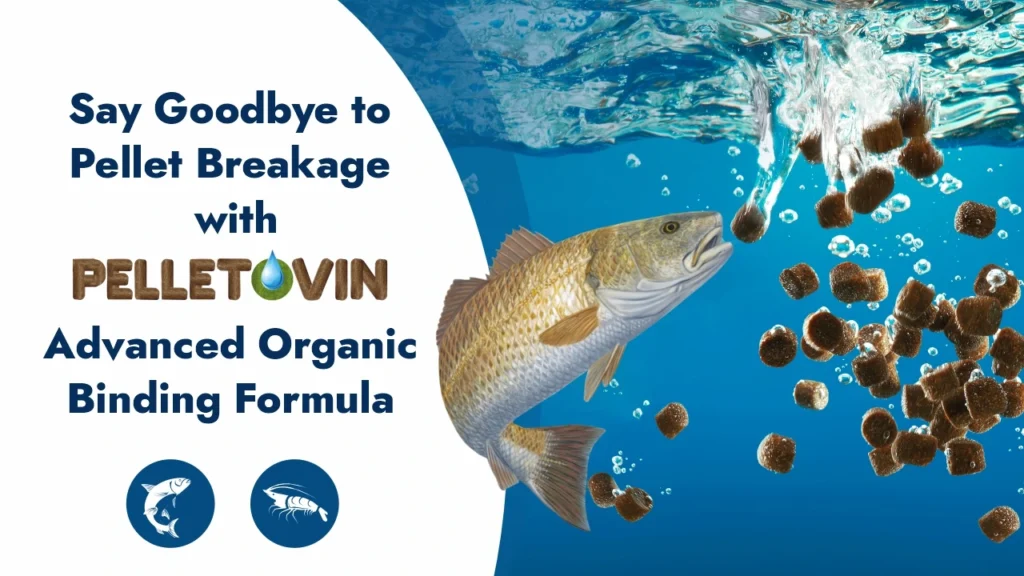 Pelletovin organic binder for aquafeed, enhancing pellet durability, water stability, and overall feed efficiency for manufacturers and exporters.