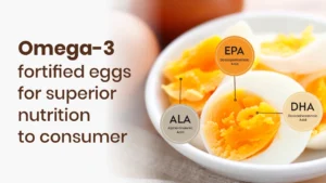Omega-3 Fortified Eggs for Superior Nutrition to Consumer