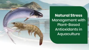 Natural Stress Management with Plant-Based Antioxidants in Aquaculture