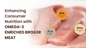 Enhancing Consumer Nutrition with Omega-3 Enriched Broiler Meat