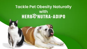 Tackle Pet Obesity Naturally with HerboNutra – Adipo