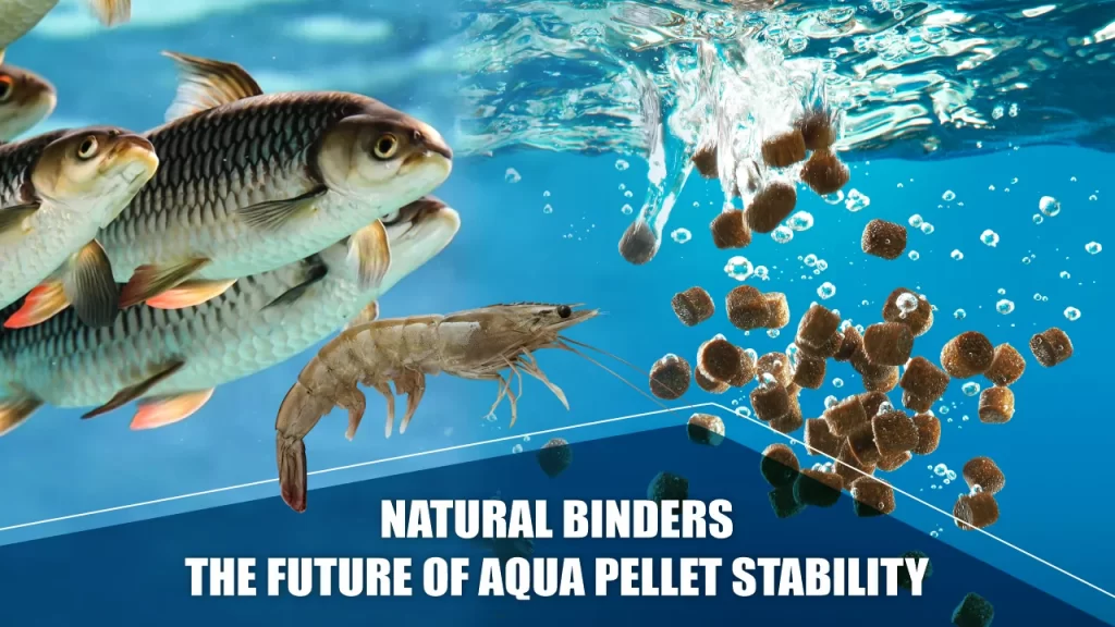 Natural Binders: The Future of Aqua Pellet Stability