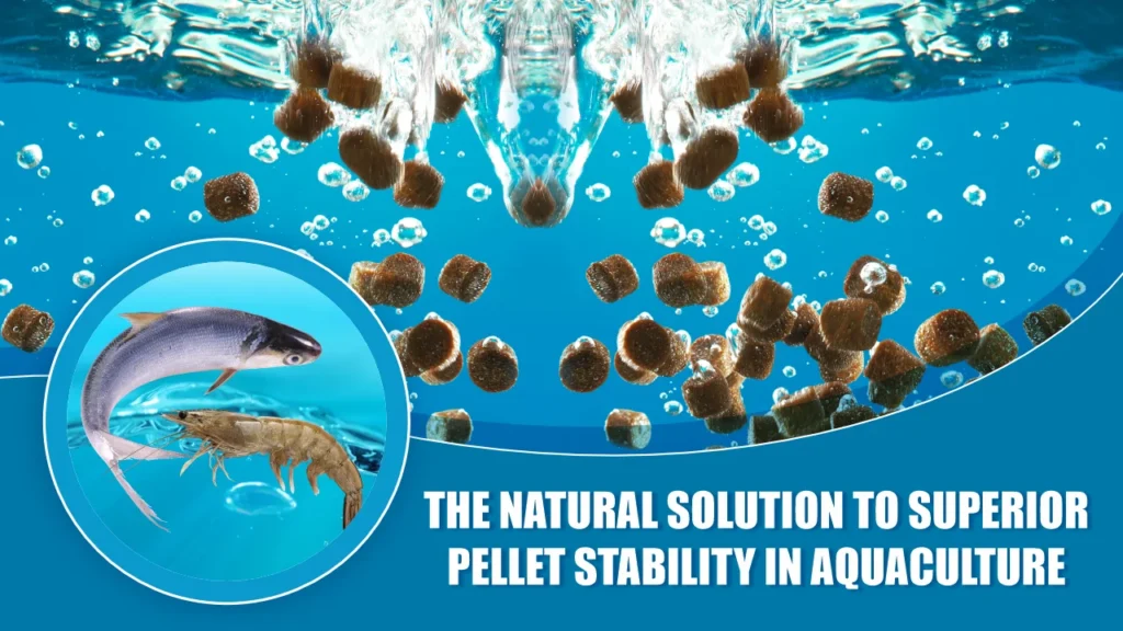 The Natural Solution to Superior Pellet Stability in Aquaculture