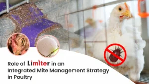 Role of Limiter in an Integrated Mite Management Strategy in Poultry