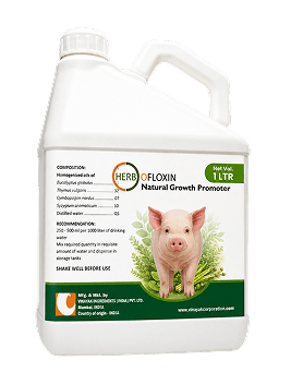 HERBOFLOXIN SWINE
