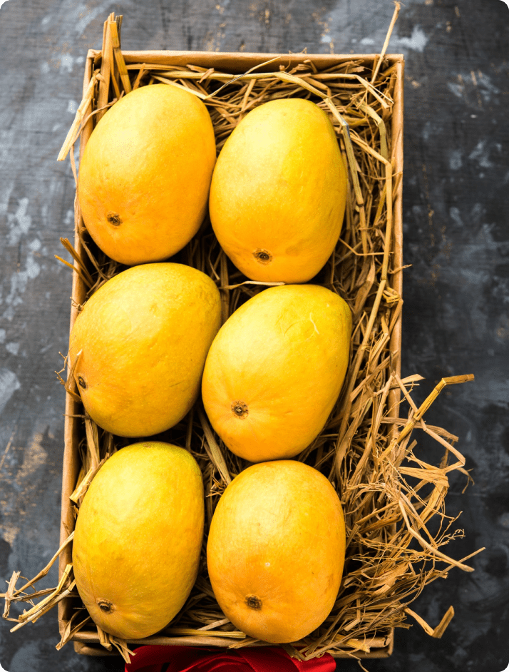 ECOFLAV MANGO POWDER