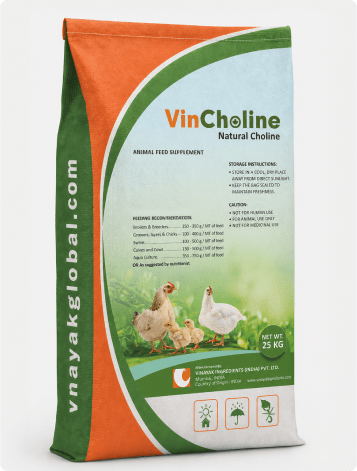 VINCHOLINE