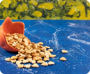 Aquaculture feeds