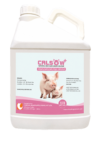 CALSOW PLUS