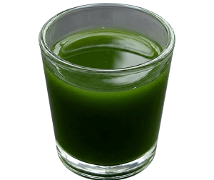 CHLOROPHYLL & CHLOROPHYLLIN