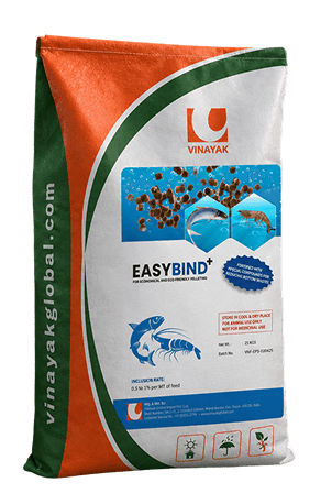 EASYBIND PLUS