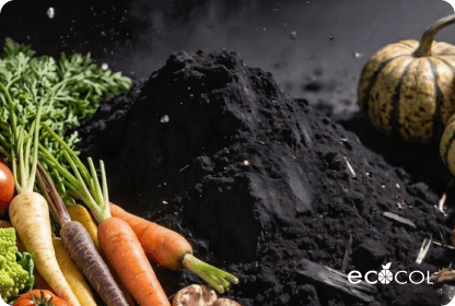 VEGETABLE CARBON BLACK