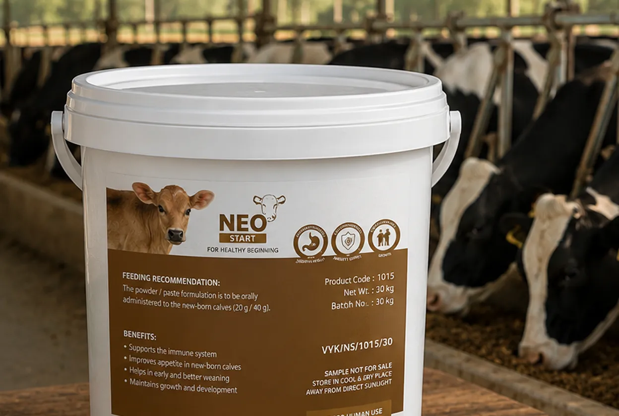 CATTLE/RUMINANTS